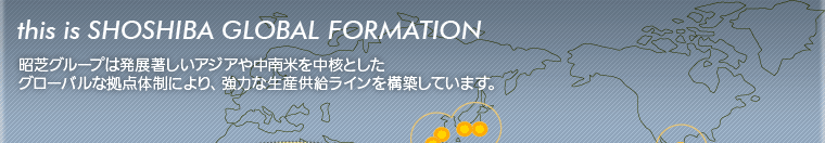 this is SHOSHIBA GLOBAL FORMATION　昭芝グループは発展著しいアジアや中南米を中核としたグローバルな拠点体制により、強力な生産供給ラインを構築しています。